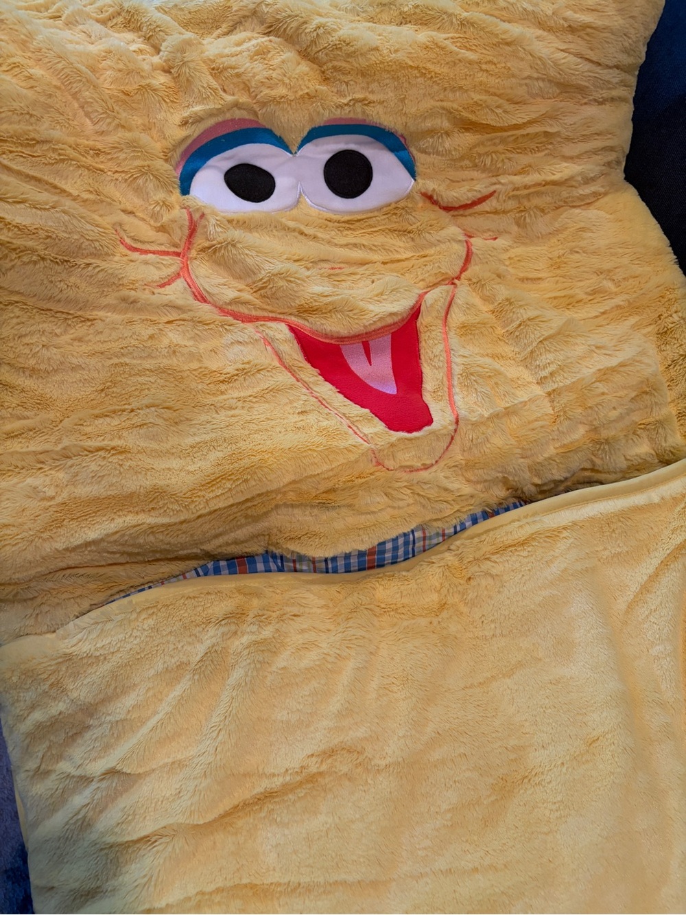 CRATE & BARREL Land of Nod Sesame Street Big Bird Sleeping Bag NWT!!